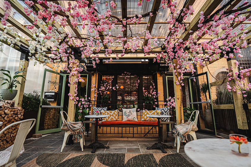 Cherry blossom-covered patio at Residents Cafe & Bar in Washington, DC