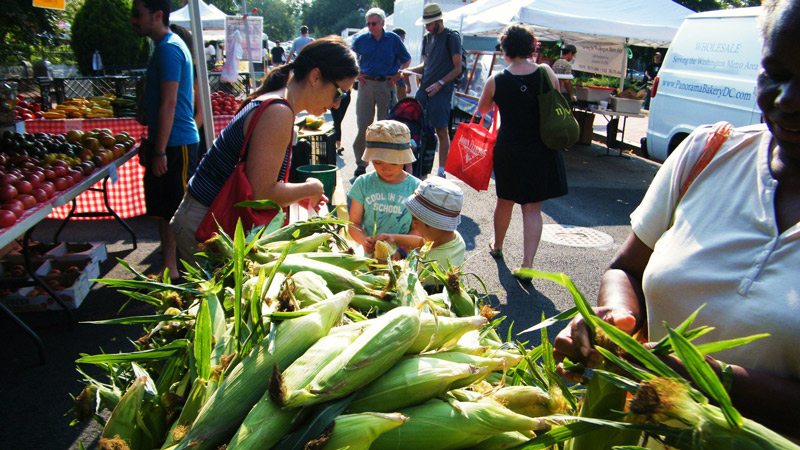 Bloomingdale Farmers' Market - Family Picking Out Fresh, Local Produce at Farmers' Market in Washington, DC