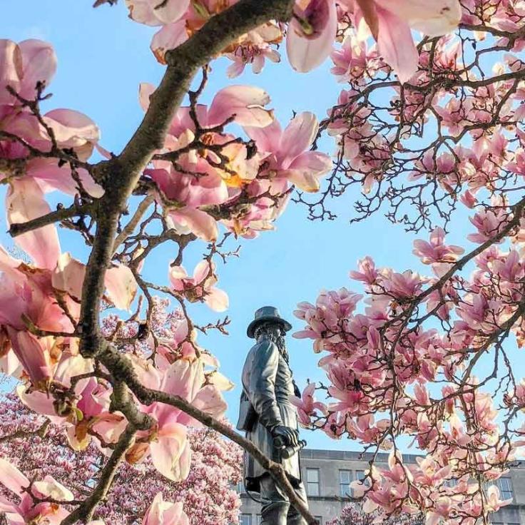@nancyinusa - Spring flowers in Rawlins Park in Foggy Bottom - Things to do this spring in Washington, DC
