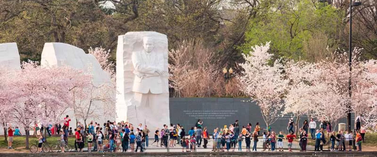 View of the Martin Luther King, Jr. Memorial during cherry blossom season - Memorials on the National Mall in Washington, DC